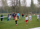 Szenttamási mezei futóverseny április 5.